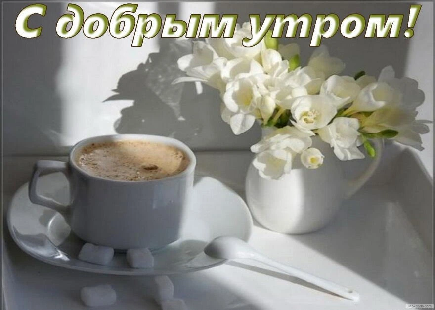 Текстовое оформление утренних приветствий