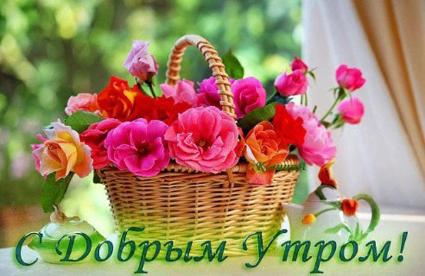 Доброе утро